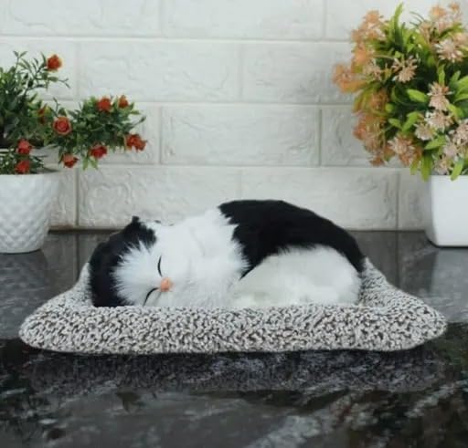 Cute Sleeping Cat for Kids, Car Dashboard Accessories